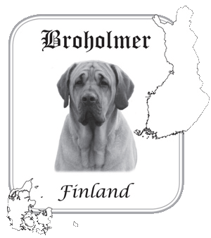 Broholmer Finland ry